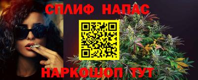 спиды Рыбинск